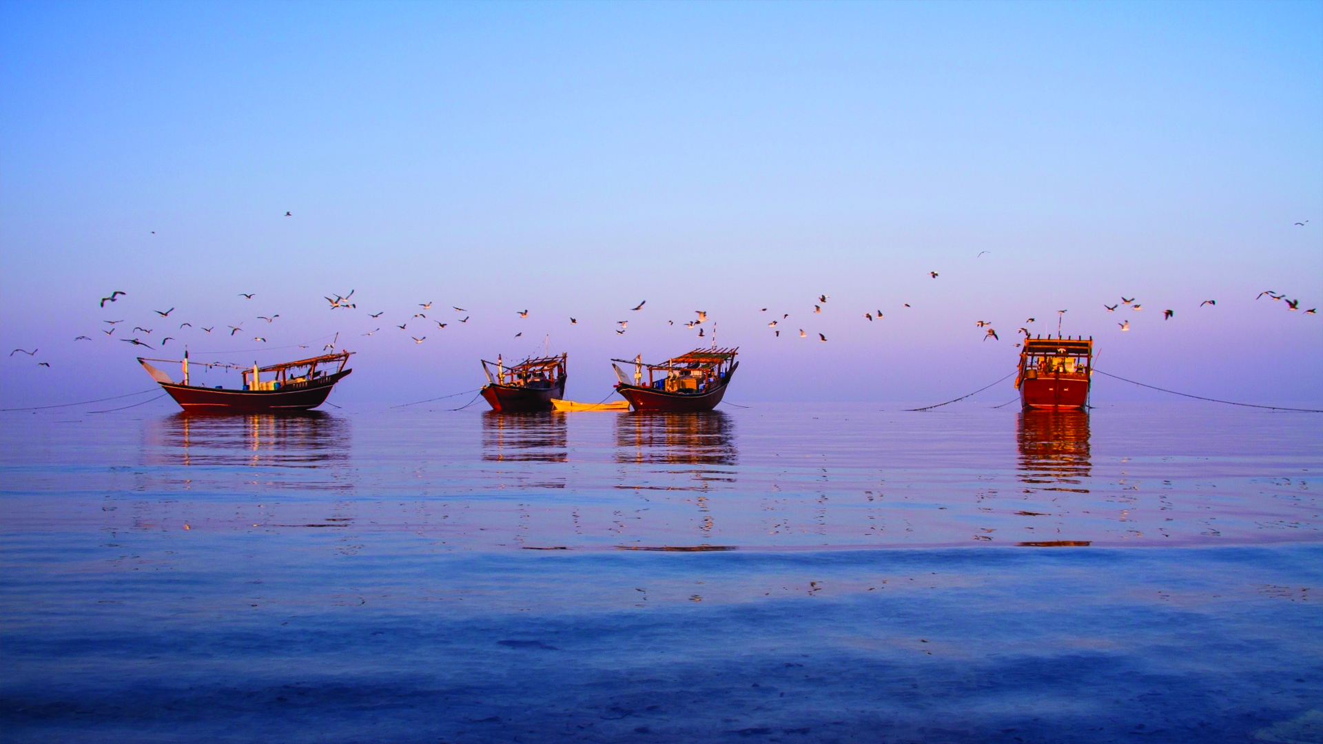 جزيرة مصيرة